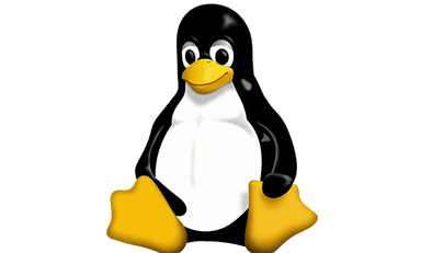 Linux logo